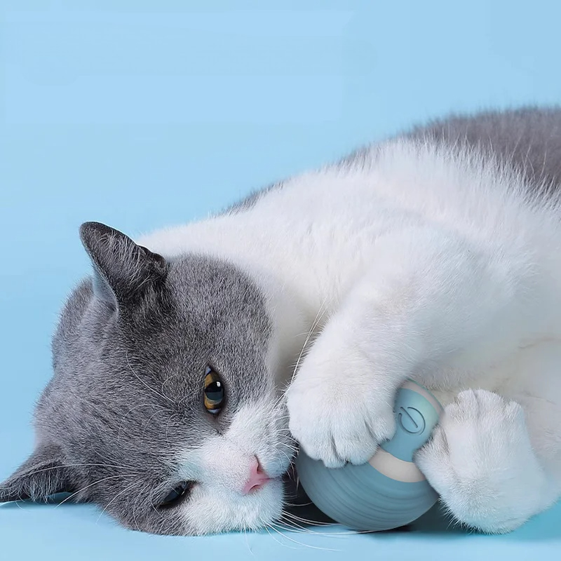 Cat Interactive Ball Smart Cat - огляд і ціна Electronics Gadgets Wholesale